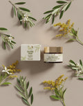 24h Hydra Face Cream